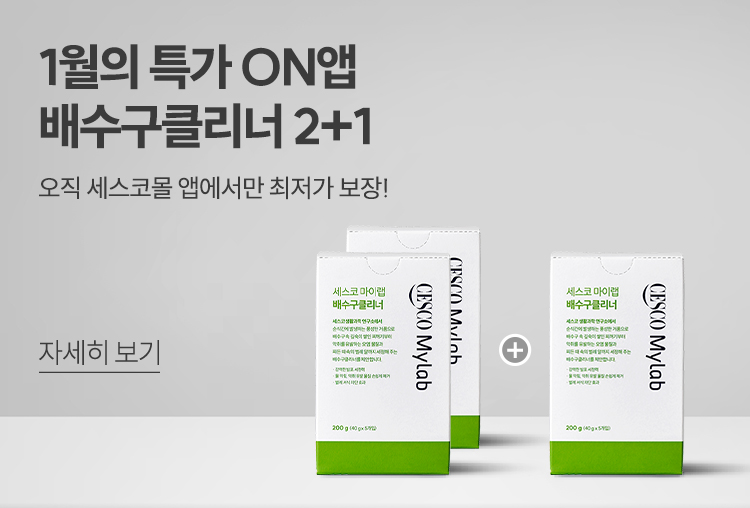 줄리테스트