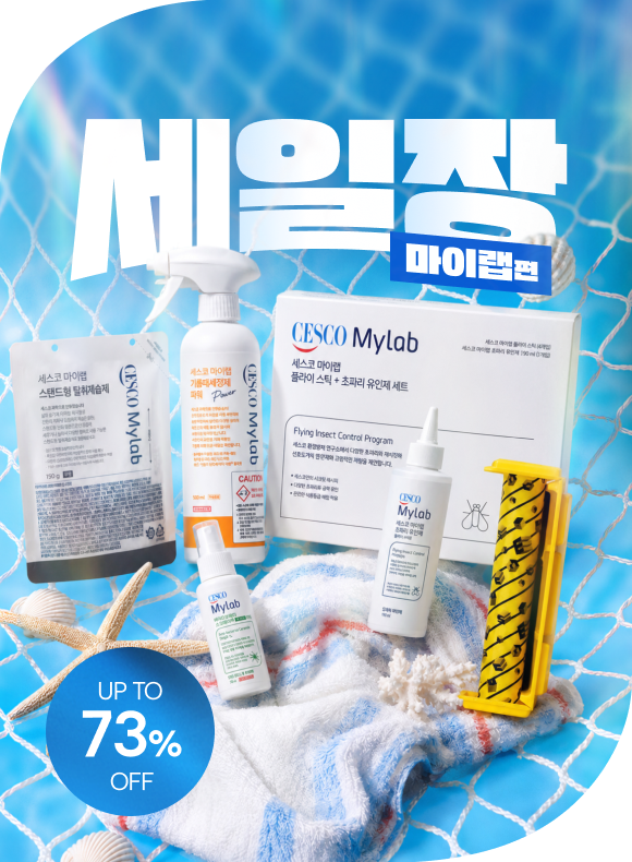 메인비주얼 이미지